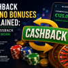 Cashback Casino Bonuses Explained: How Lossback Offers Work